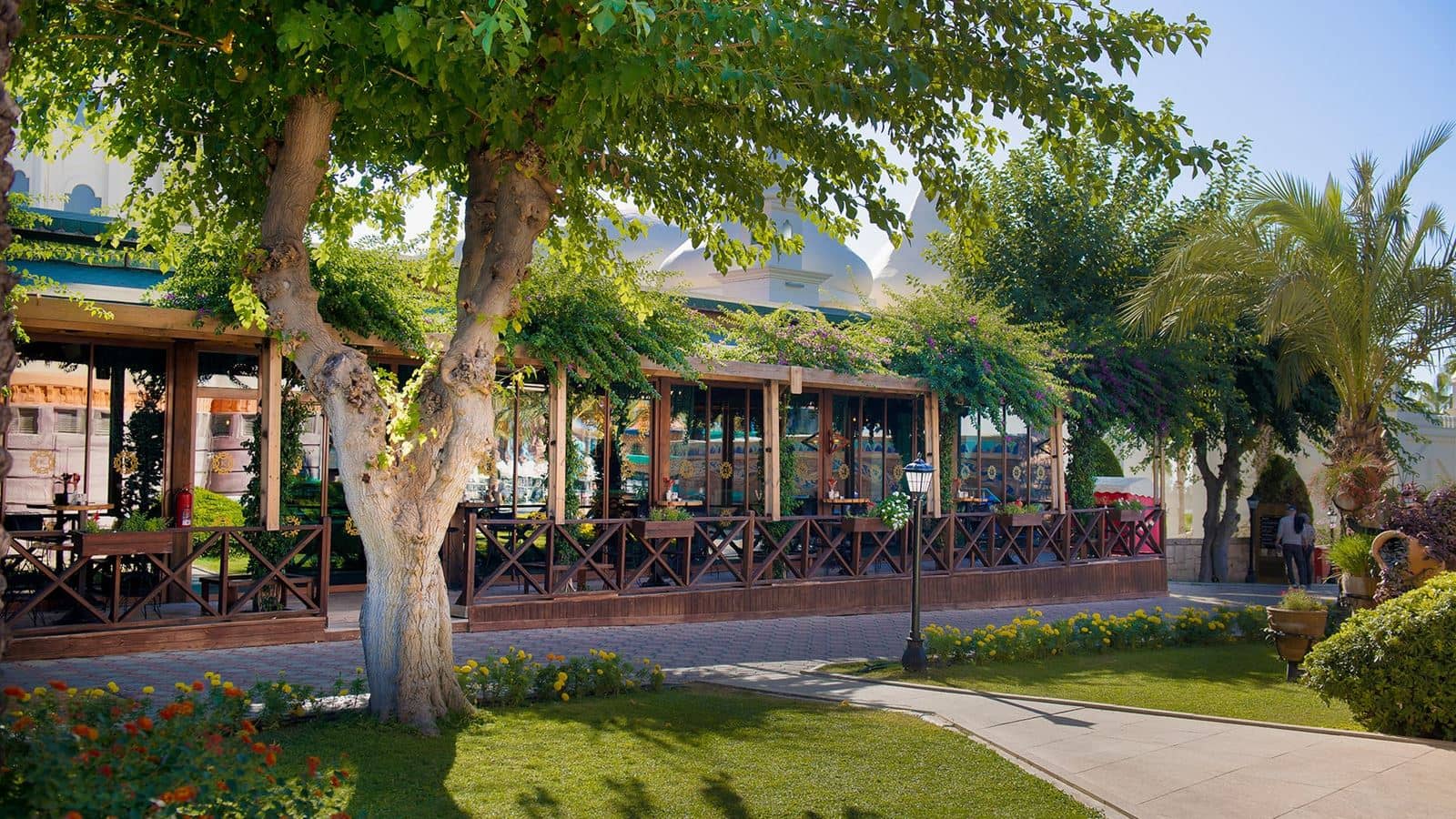 bars-cafe-house