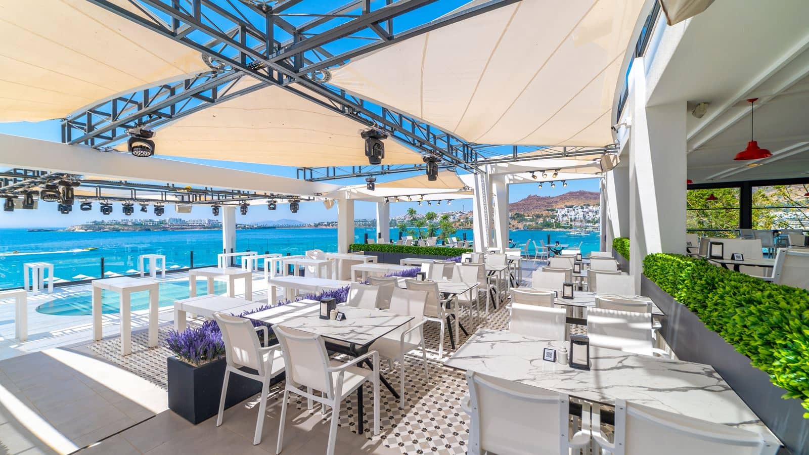 bars-disco-bar