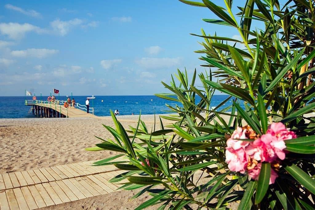 beach-beach