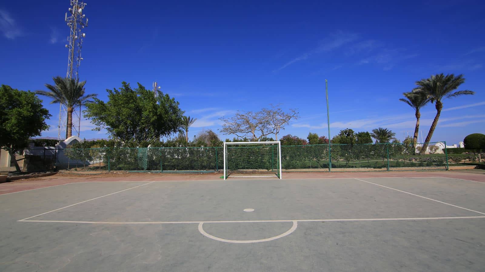 sport-sport