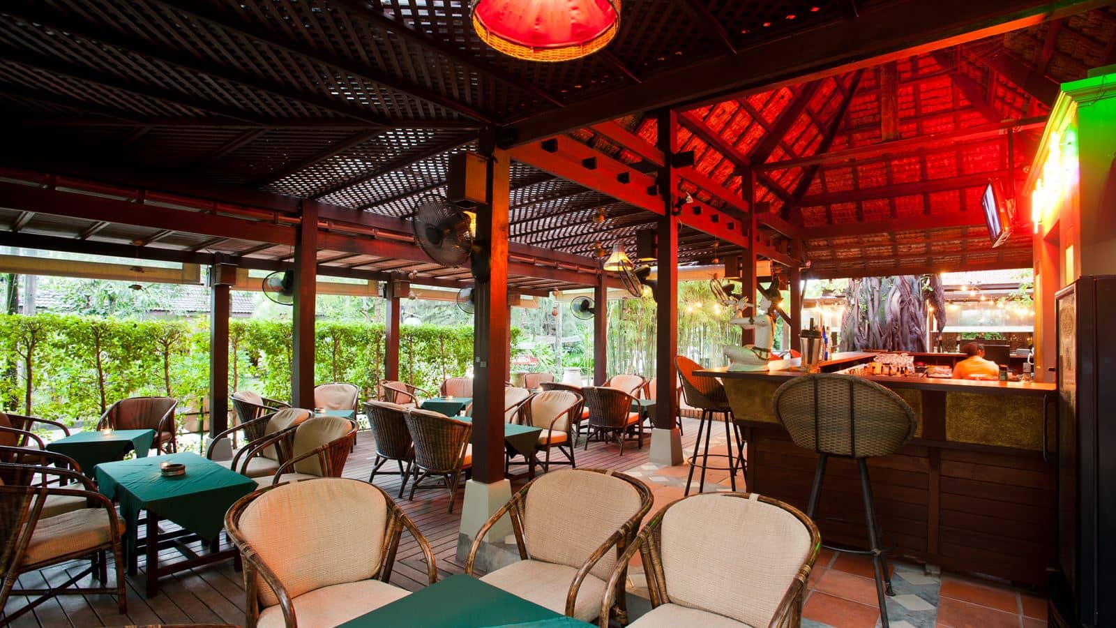 bars-big-tree-bar