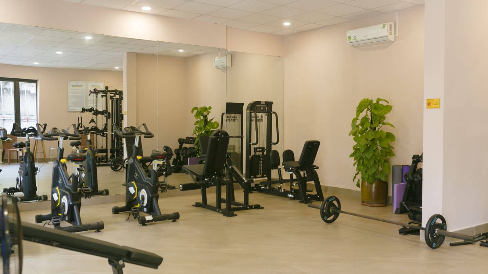 sport-sport