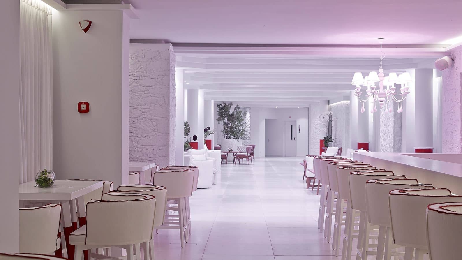 bars-veranda-main-bar