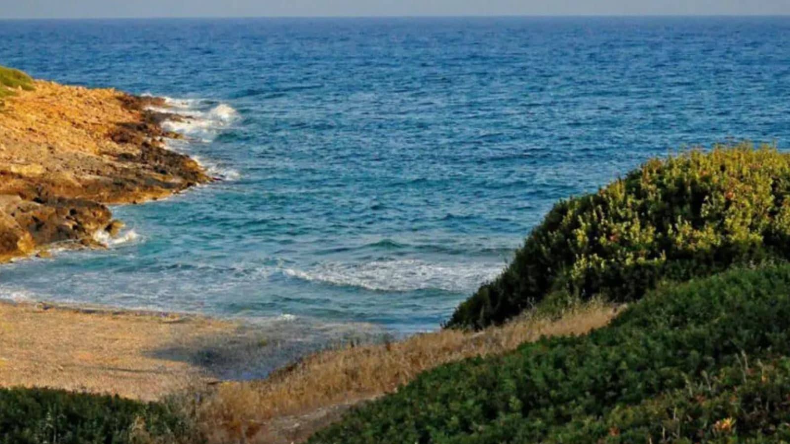 beach-beach