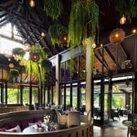 Restoranai preview