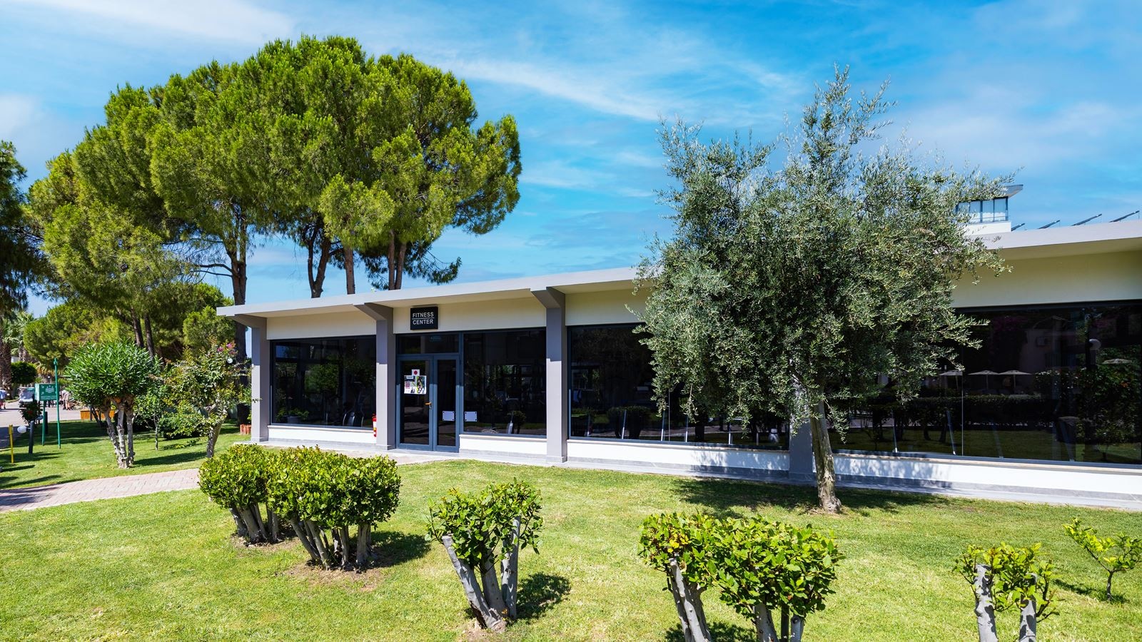 sport-sport