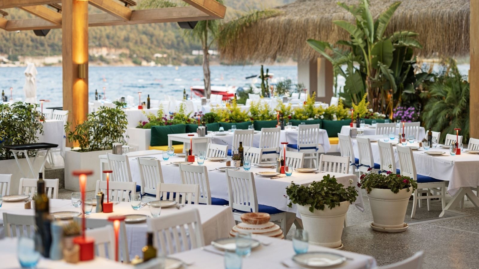 restaurants-begonvil-reataurant