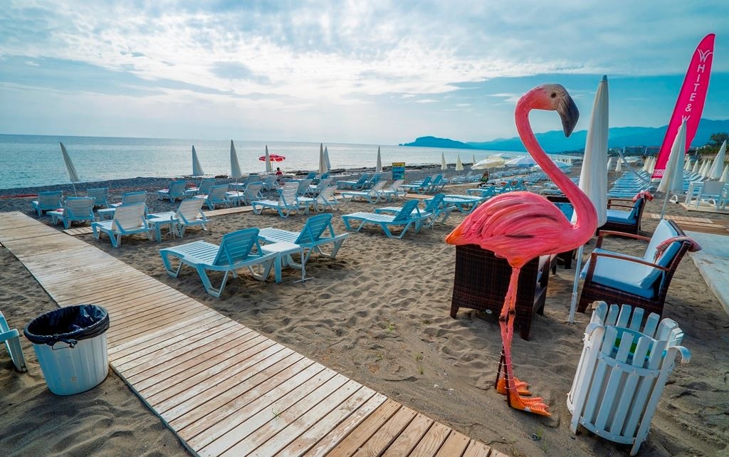 beach-beach
