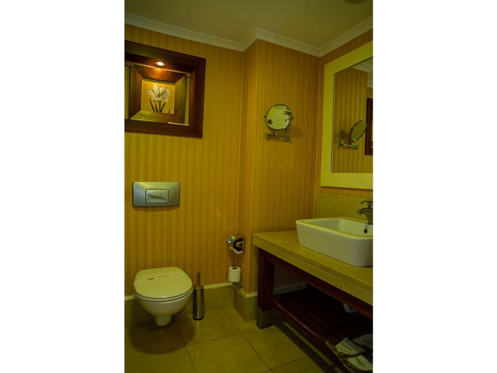 rooms-standart-room-land-view