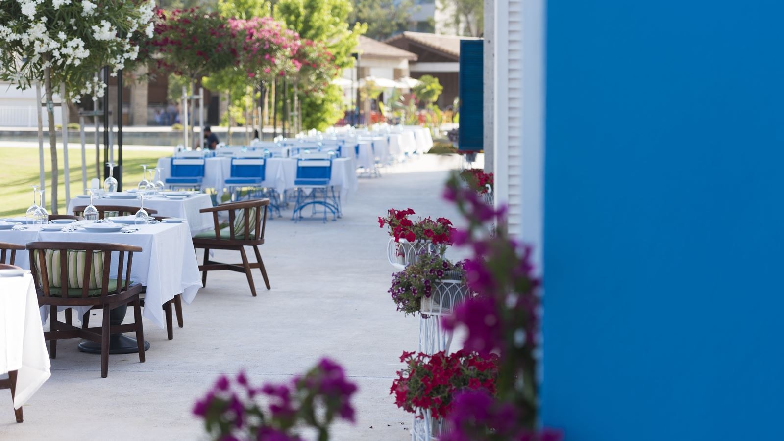 restaurants-mermaid-seafood-restaurant