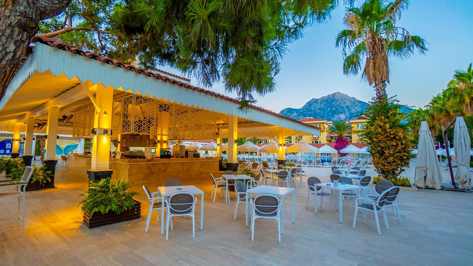 bars-pool-bar
