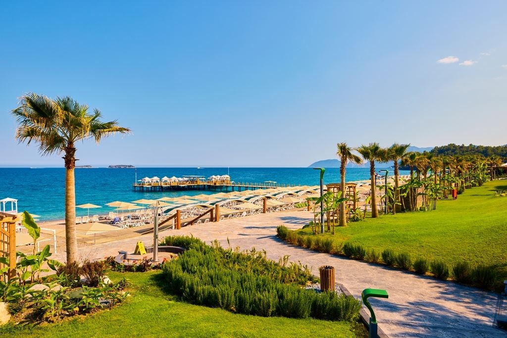 beach-beach