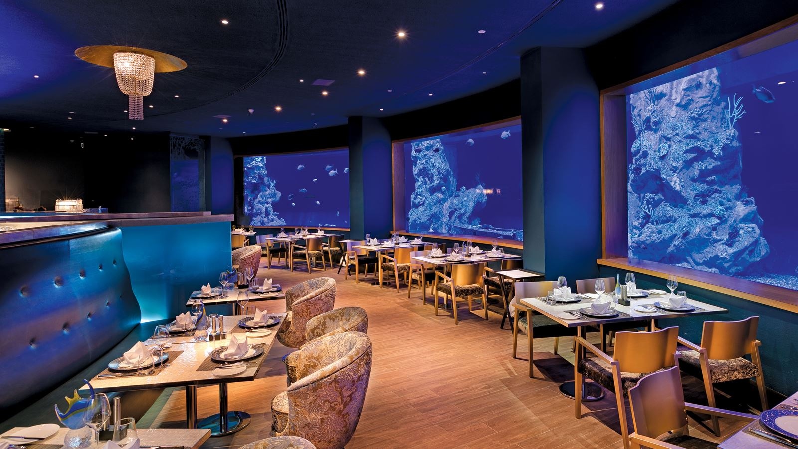 restaurants-fish-restaunrat