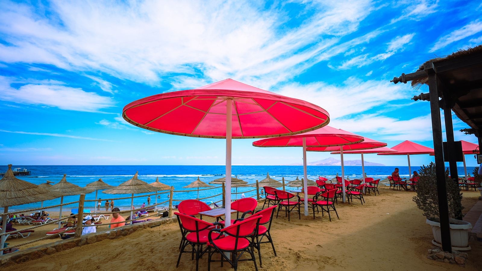 bars-beach-bar