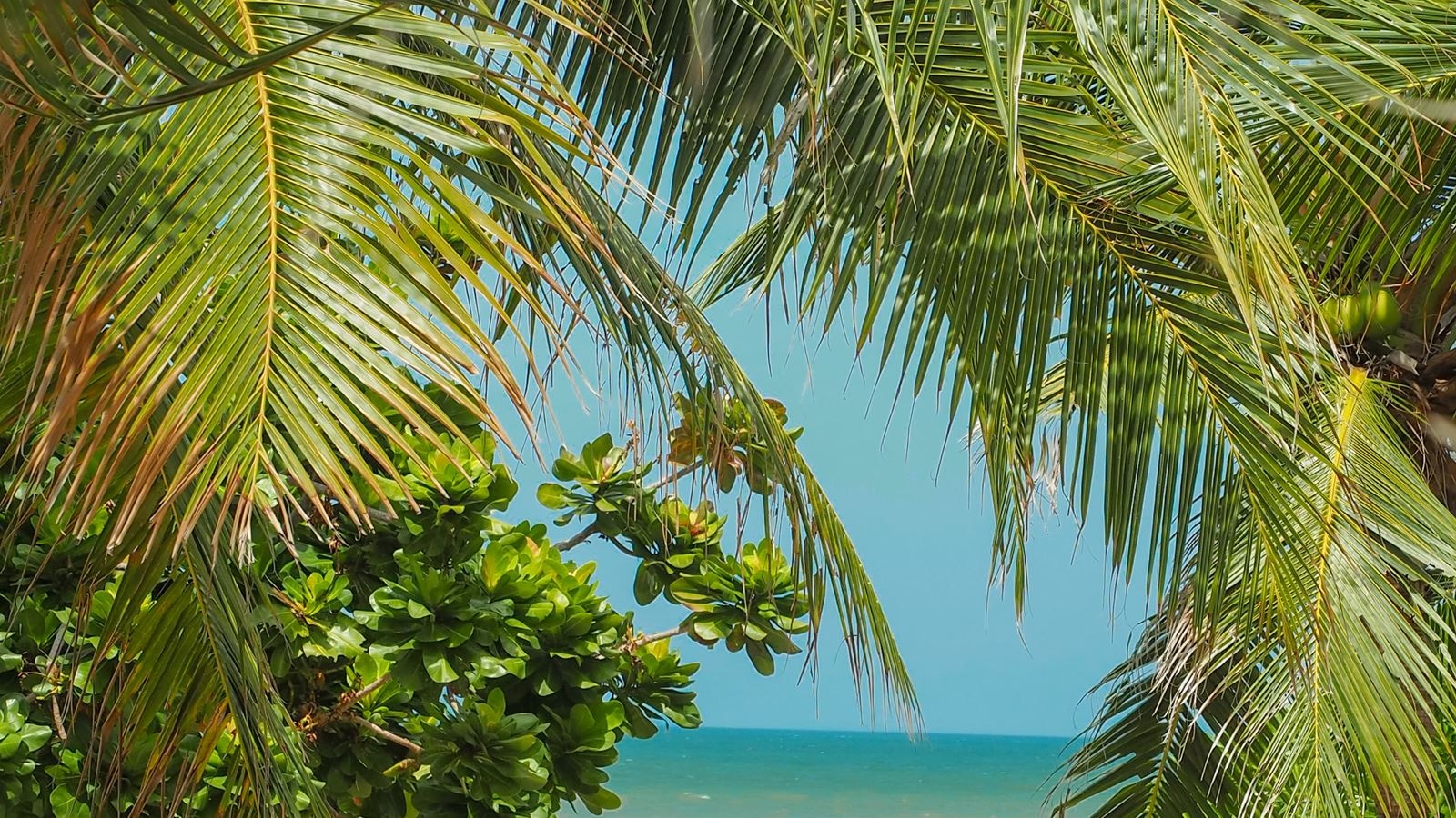 beach-beach