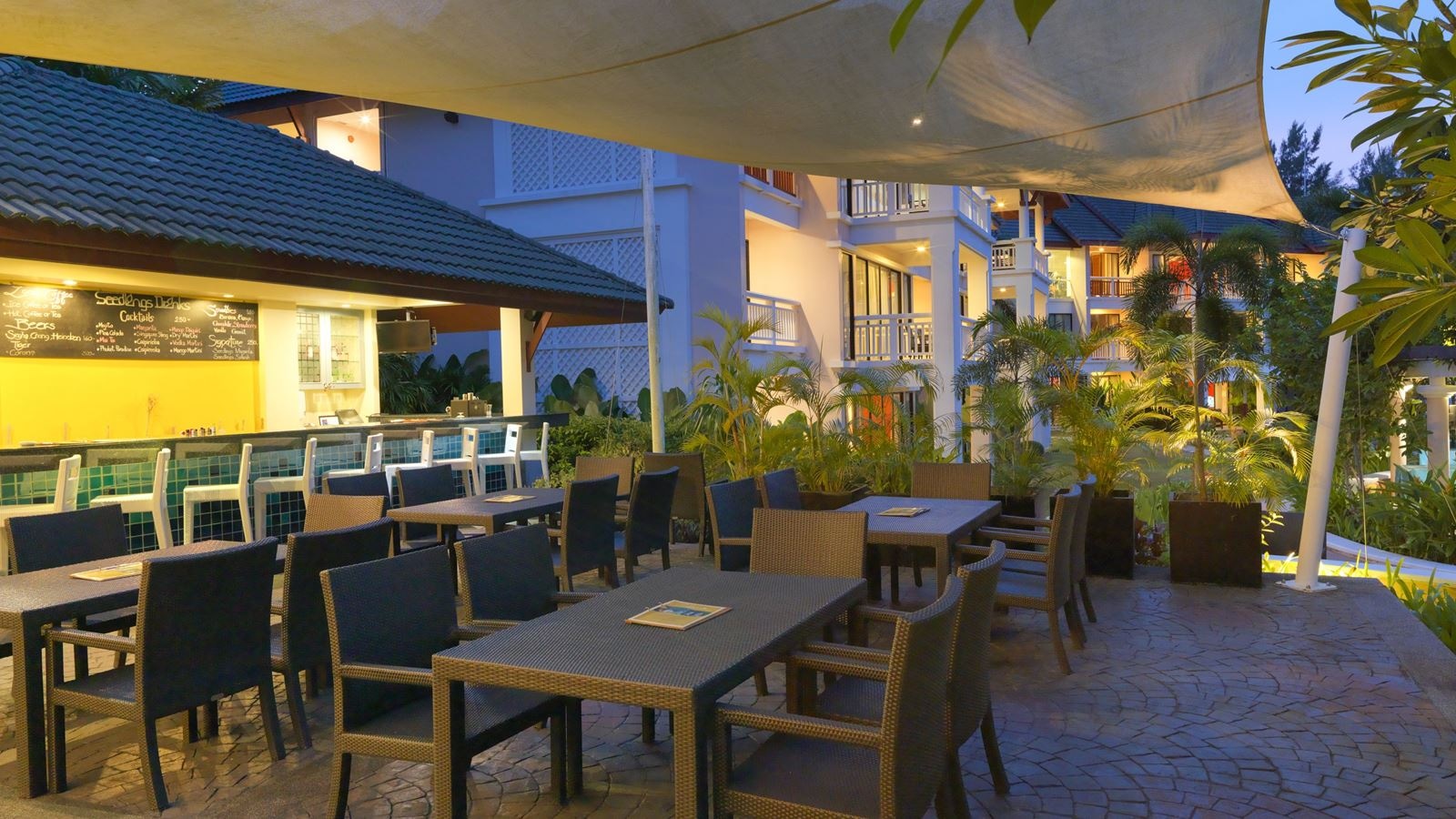 restaurants-seedling