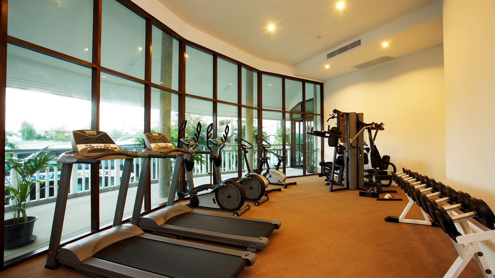 sport-sport