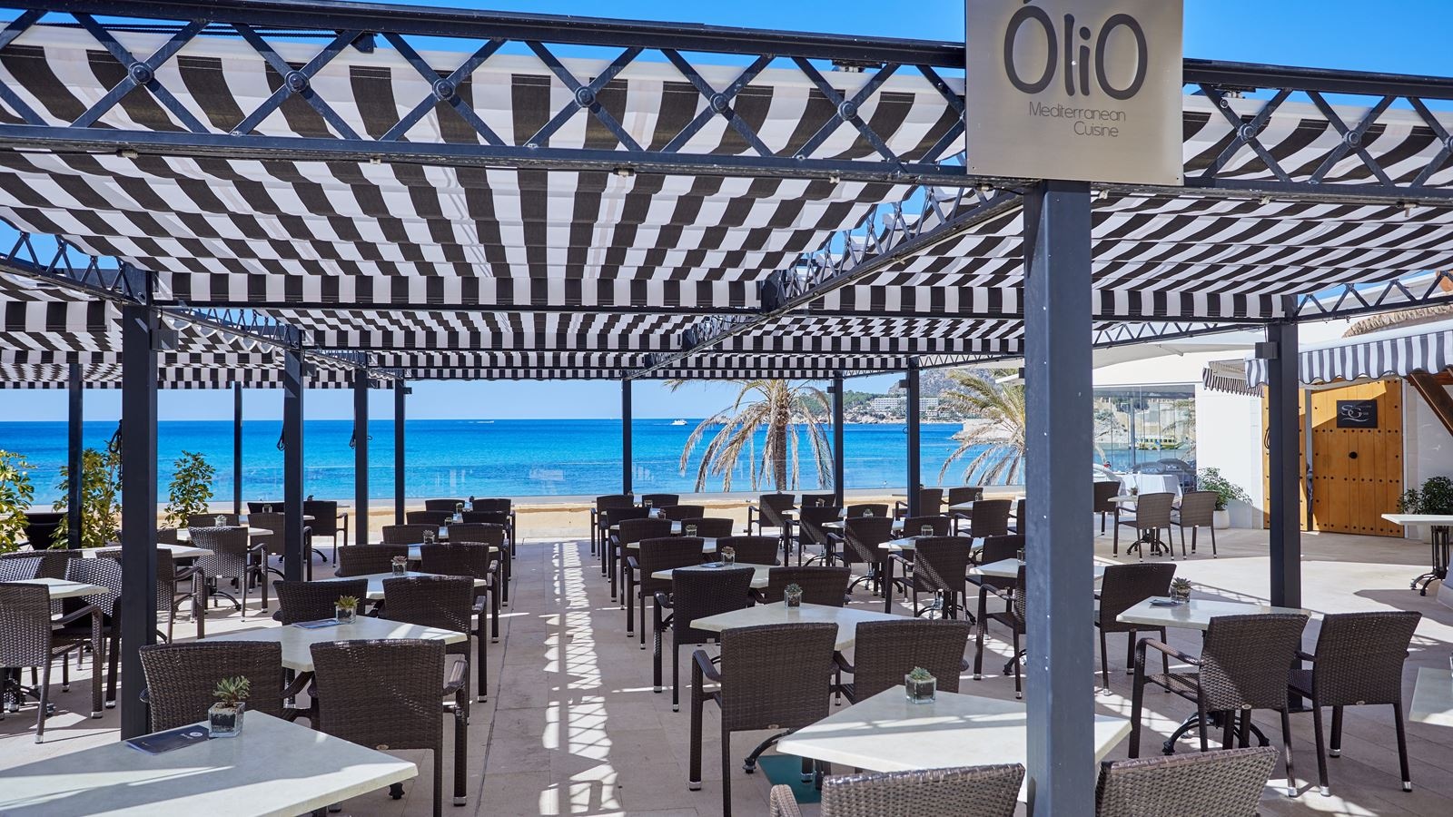 restaurants-olio-restautante