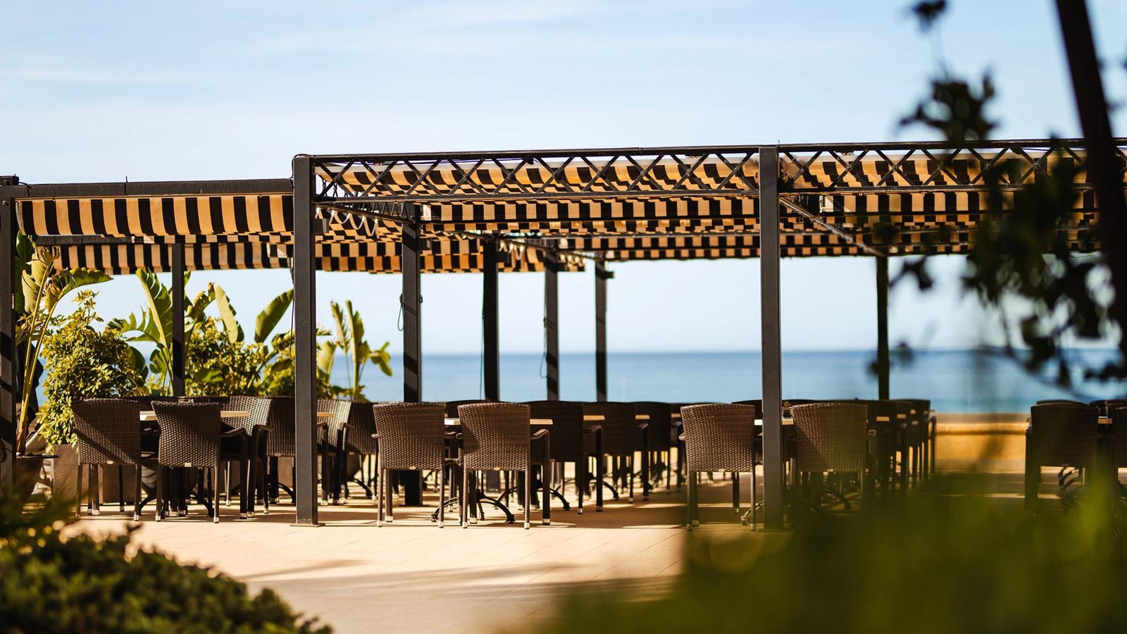 restaurants-olio-restautante