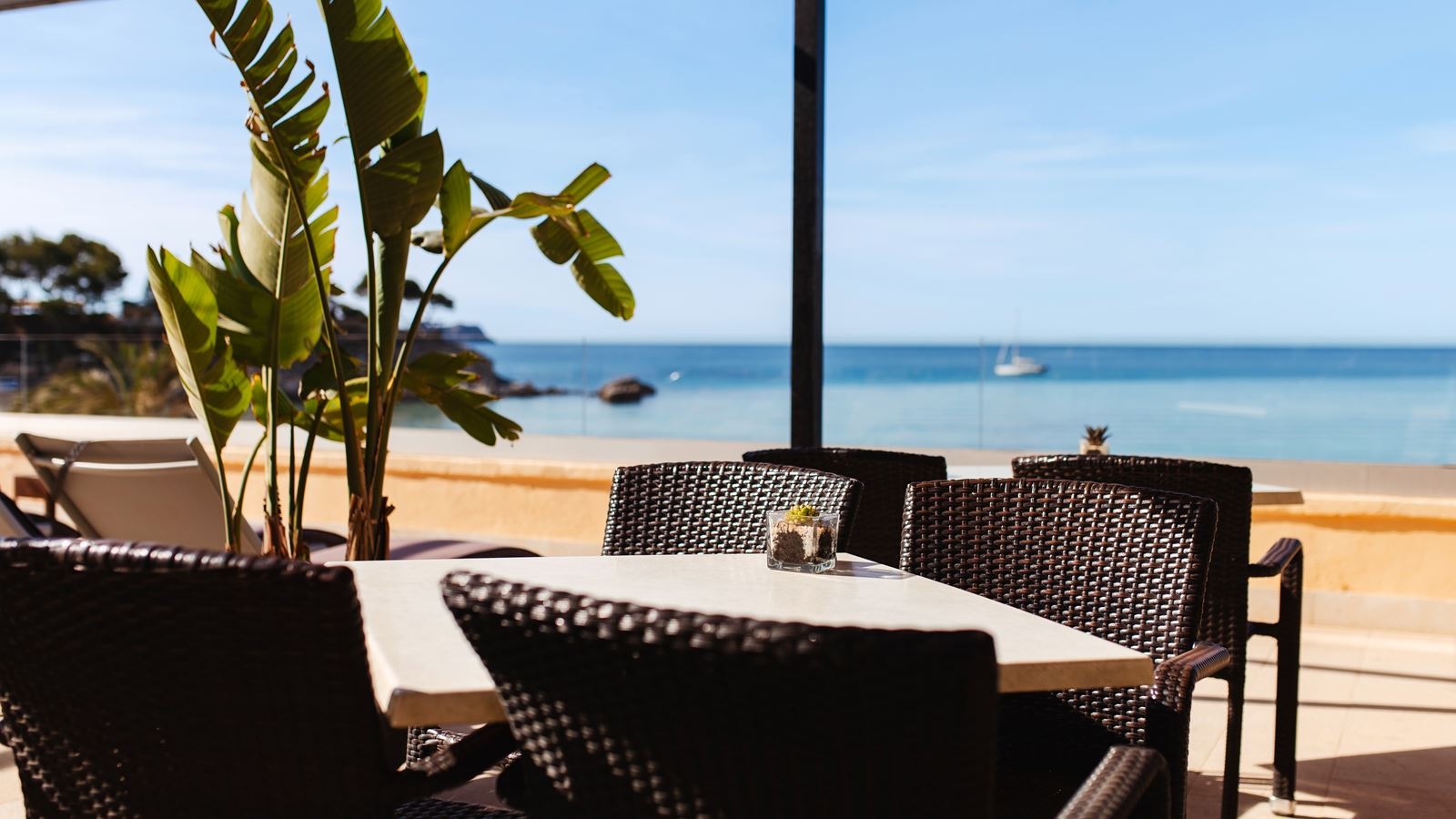 restaurants-olio-restautante