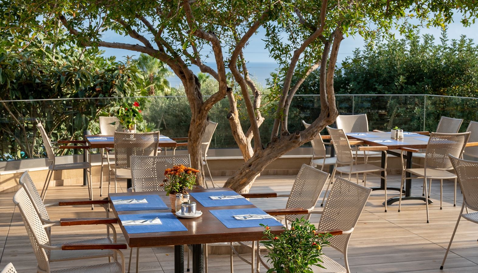 restaurants-minos-restaurant