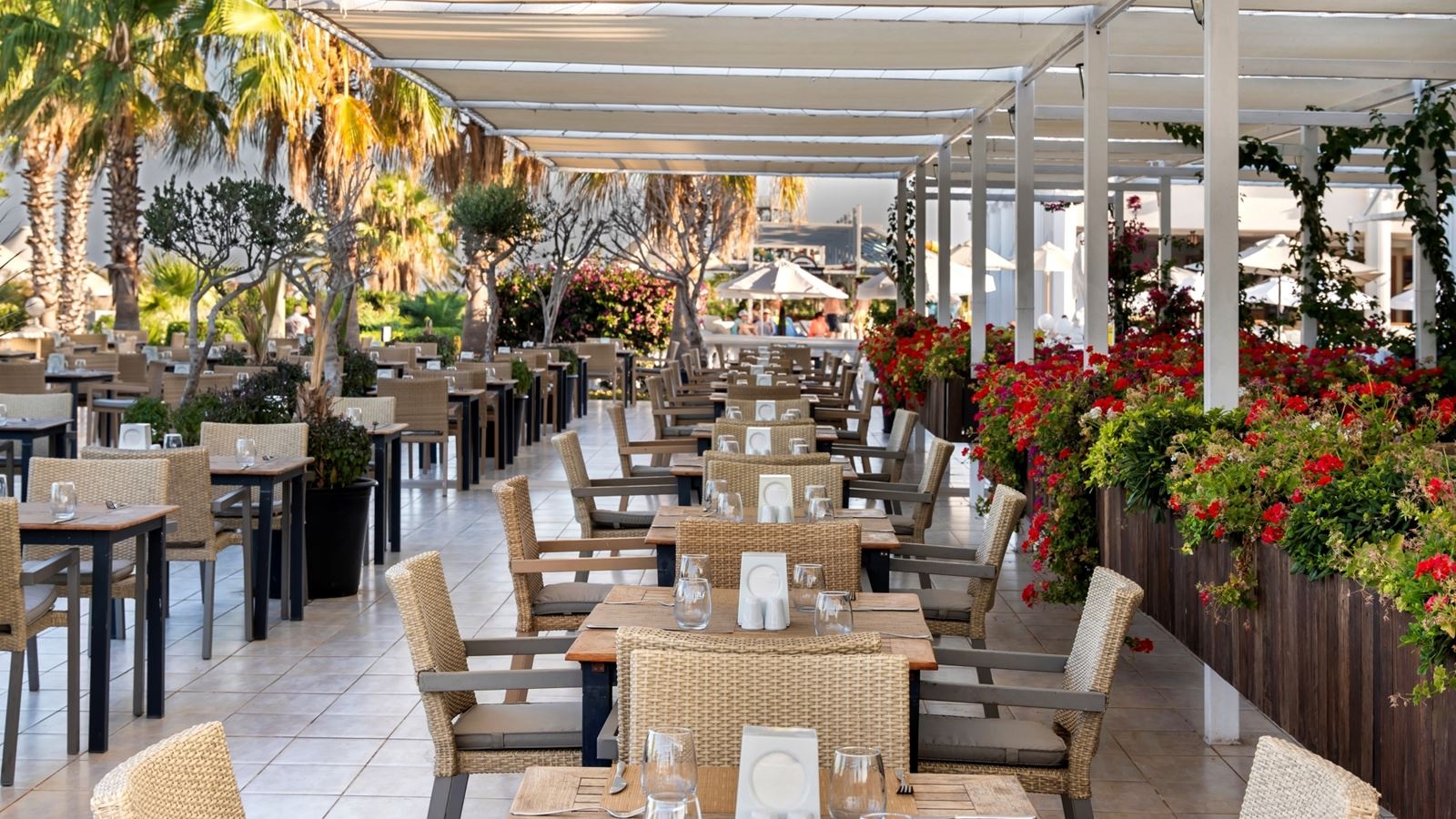 restaurants-agora-restoran