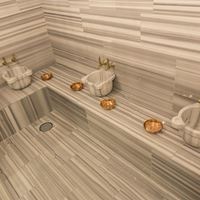 SPA preview