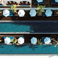 Baseinai preview