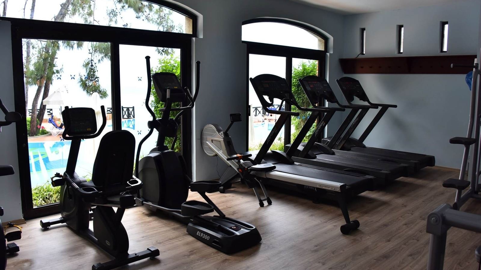 sport-sport