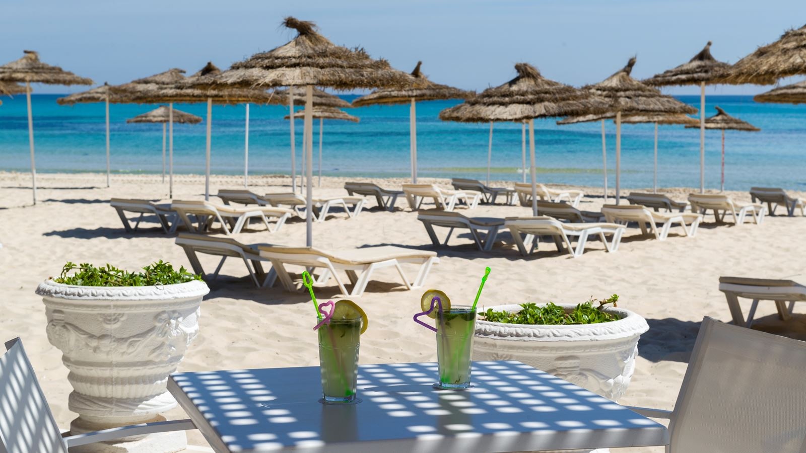 bars-the-beach-bar